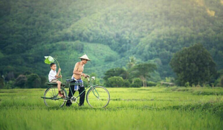 Le Salaire Moyen au Laos : Conseils Pratiques pour les Voyageurs et Expatriés