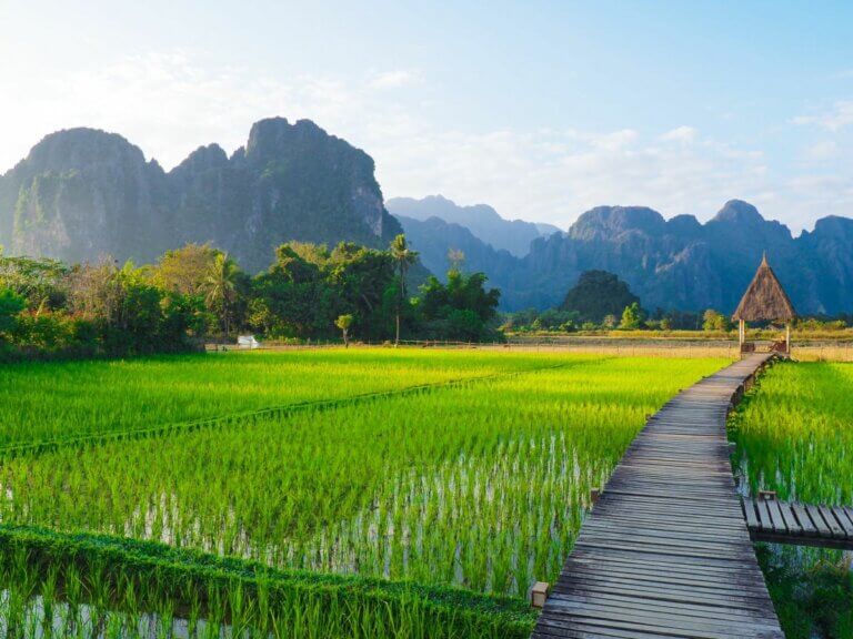 5 destinations incontournables à découvrir au Laos en Janvier