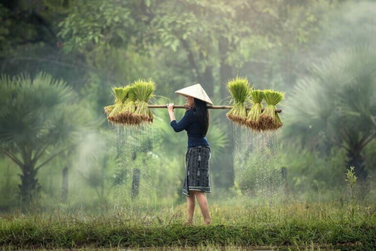Coût de la vie au Laos  : Guide pour les expatriés, les voyageurs et les locaux